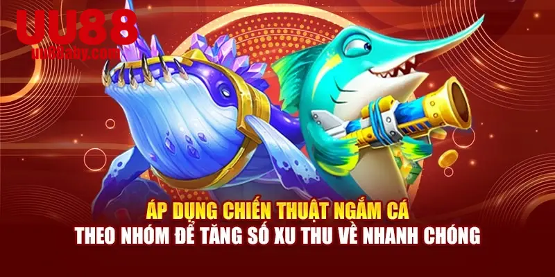 Áp dụng chiến thuật ngắm cá theo nhóm để tăng số xu thu về nhanh chóng