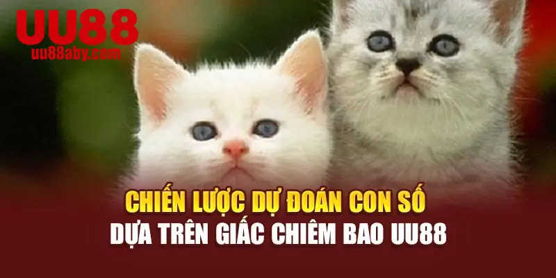 Chiến lược dự đoán con số dựa trên giấc chiêm bao UU88