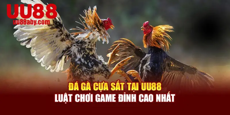 Đá Gà Cựa Sắt tại UU88 - Luật Chơi Game Đỉnh Cao Nhất