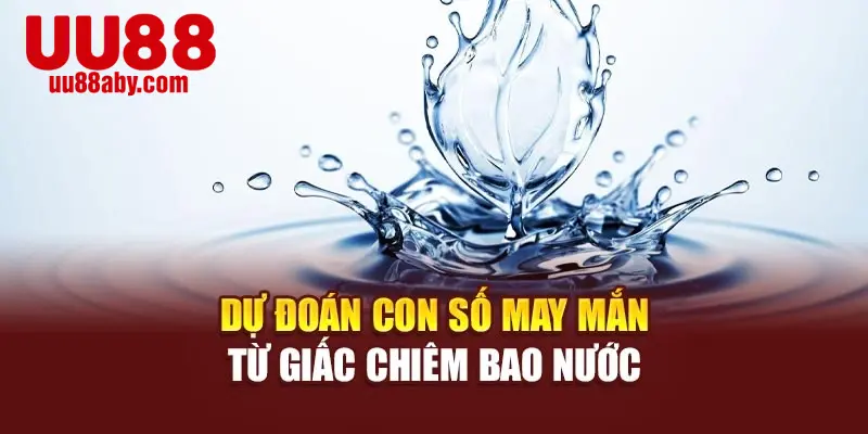Dự đoán con số may mắn từ giấc chiêm bao nước 