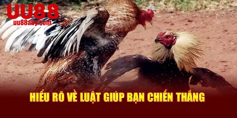 Hiểu rõ về luật giúp bạn chiến thắng