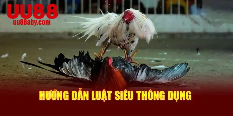 Hướng dẫn luật siêu thông dụng
