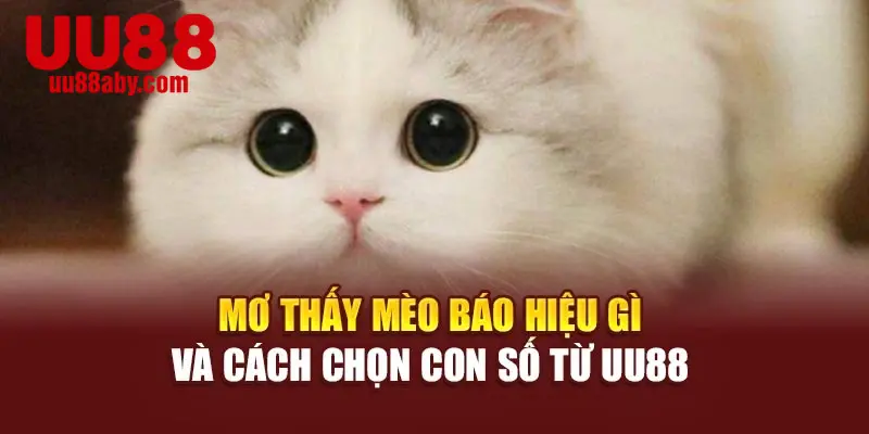 Mơ Thấy Mèo Báo Hiệu Gì Và Cách Chọn Con Số Từ UU88
