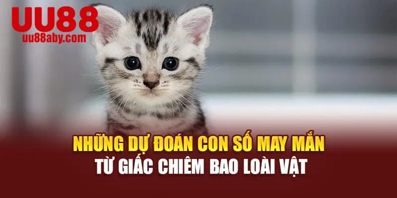 Những dự đoán con số may mắn từ giấc chiêm bao loài vật
