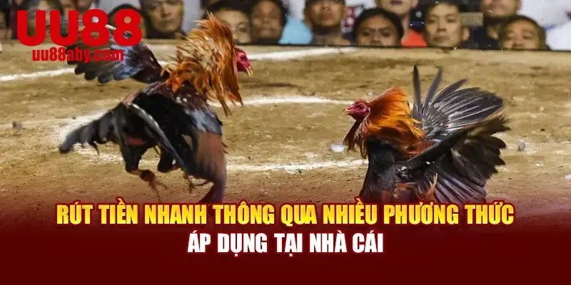 Rút tiền nhanh thông qua nhiều phương thức áp dụng tại nhà cái