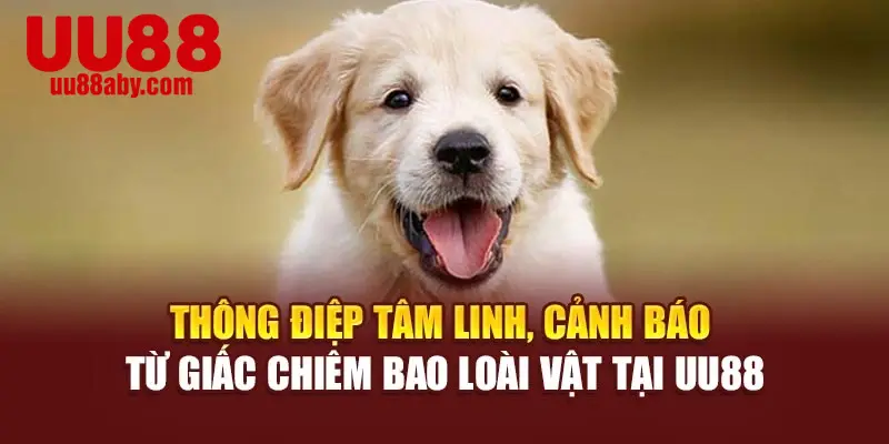 Thông điệp tâm linh, cảnh báo từ giấc chiêm bao loài vật tại UU88