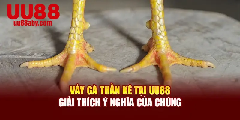 Vảy Gà Thần Kê Tại UU88 - Giải Thích Ý Nghĩa Của Chúng